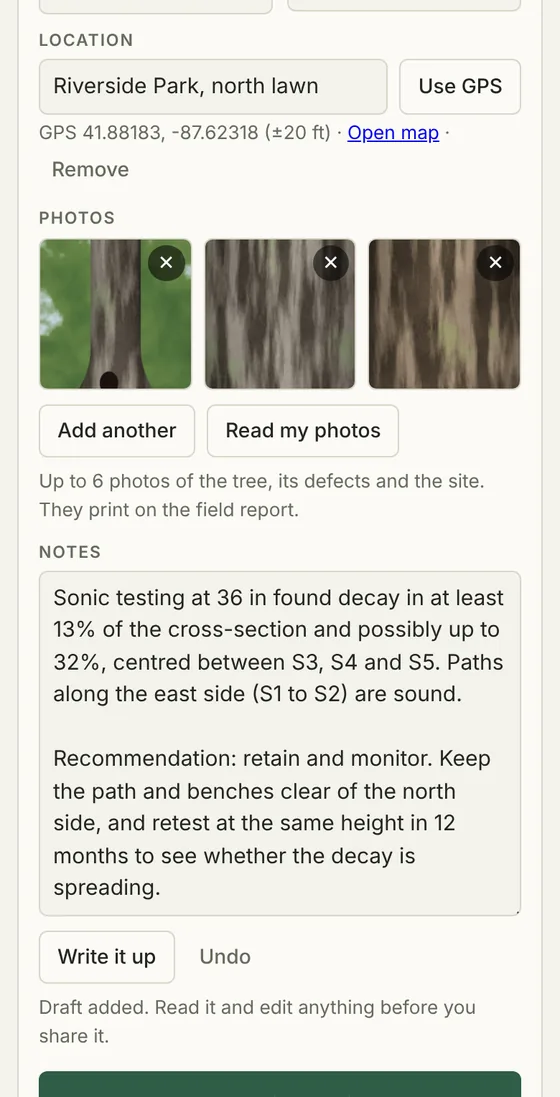 Notes box with a drafted observation and recommendation, and an Undo button
